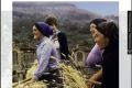 Sócio-Antropologia rural e urbana. Fragmentos da sociedade portuguesa (1960-2010)